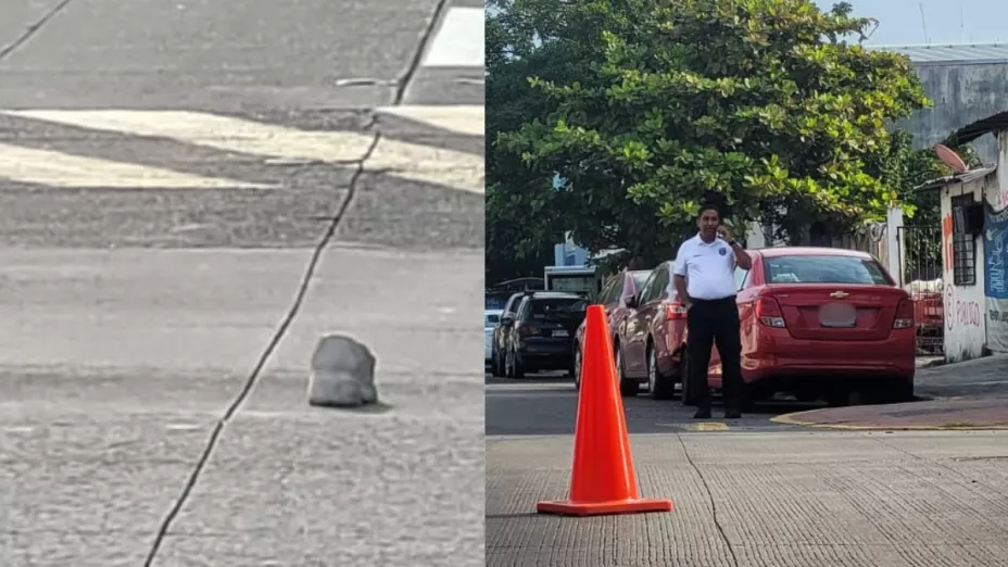 Mujer atropellada por Pochota en Veracruz