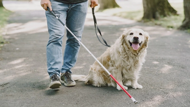 muere perrito guía