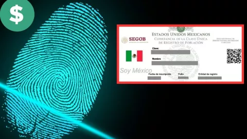 CURP biométrica precio