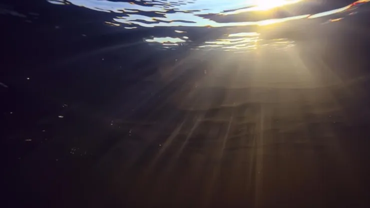 FONDO DE MAR