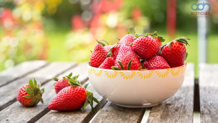 Actividades del Festival de la Fresa 2025