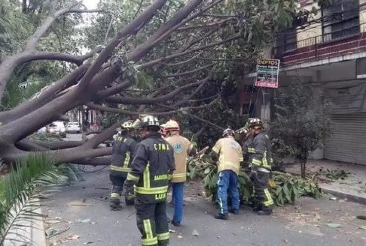 activan alerta amarilla por fuerte viento en la cdmx