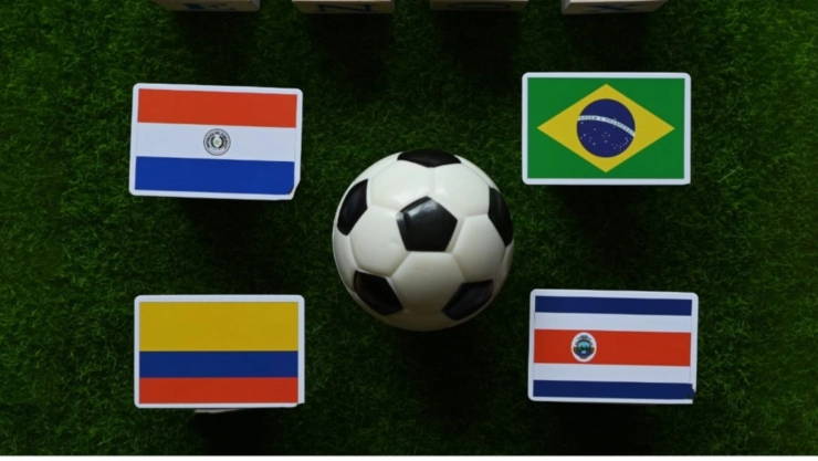 Copa América 2024, grupo D
