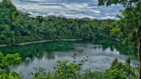 Selva Lacandona