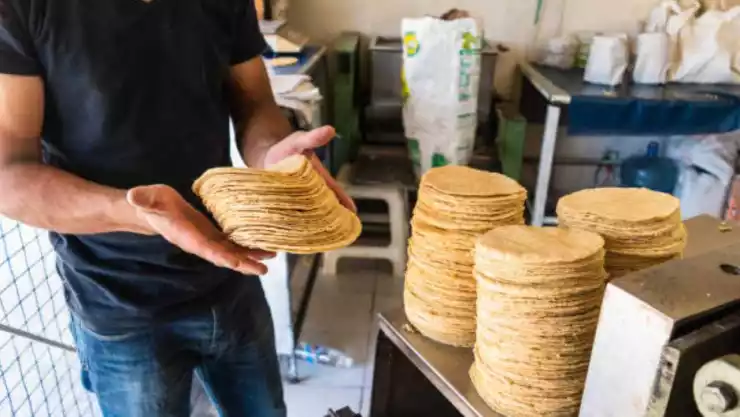 ¡Paga lo justo! Este es el precio de la tortilla en México