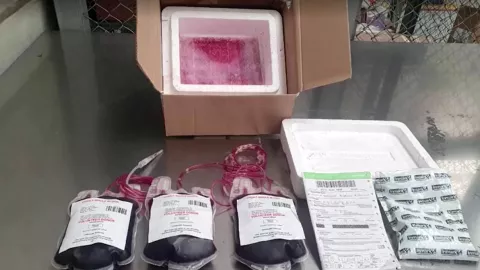 Esconden droga en bolsas de sangre