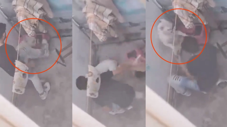 Captan a sujeto golpeando y pateando a perro en Querétaro