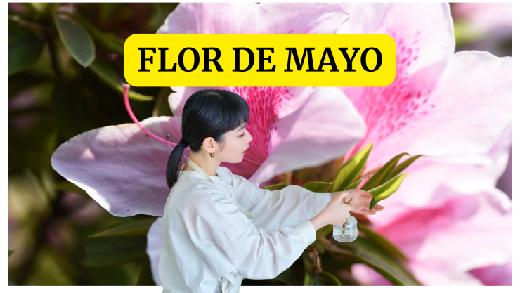 Flor de mayo