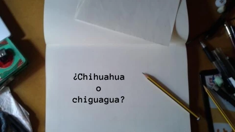 Chihuahua o chiguagua ¿Cómo se escribe? La RAE responde