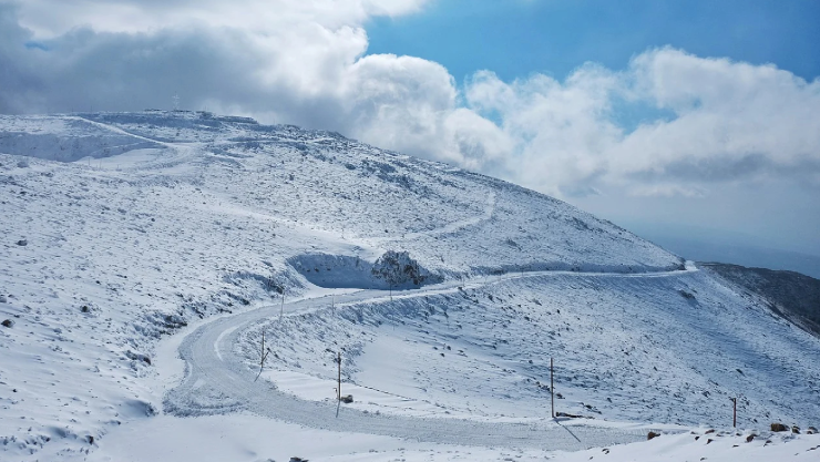 NIEVE CHIHUAHUA.jpg