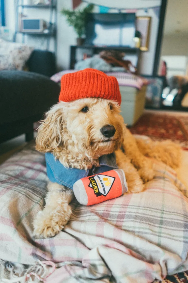 pelo-perro-ropa-cómo-quitar