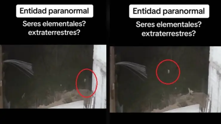 VIDEO: ¿Es real o fake? Captan a supuesto extraterrestre en una casa en México