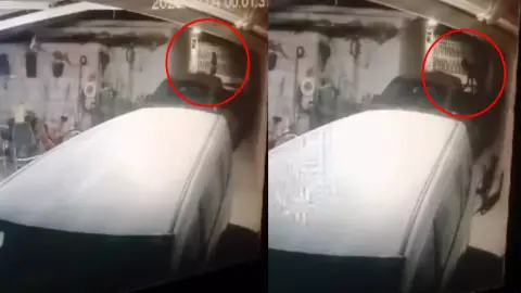 VIDEO: Captan a supuesta mujer Nahual transformándose en Coahuila