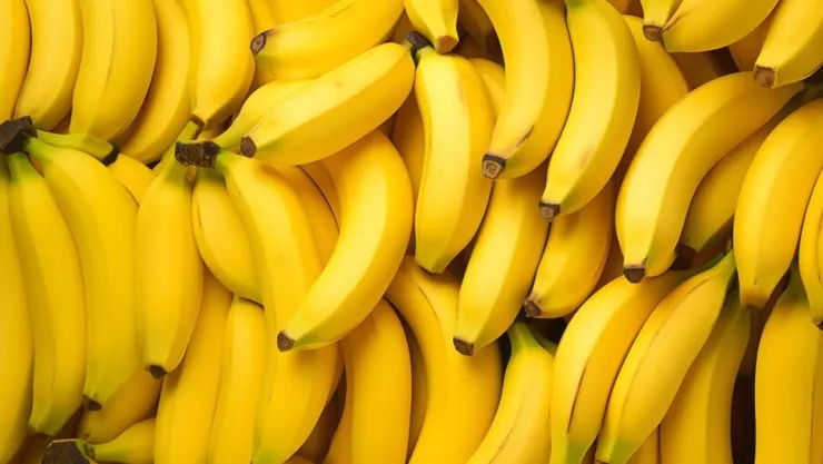 PROTOTIPO DE UN NUEVO PLÁTANO