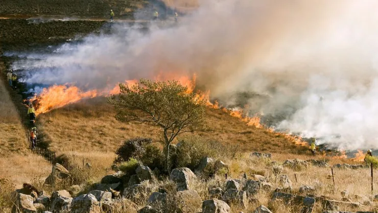 Estas son algunas recomendaciones para evitar incendios forestales