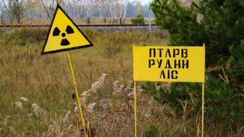 En Chernóbil: Este animal fue inmune a la radiación y asombró a todos