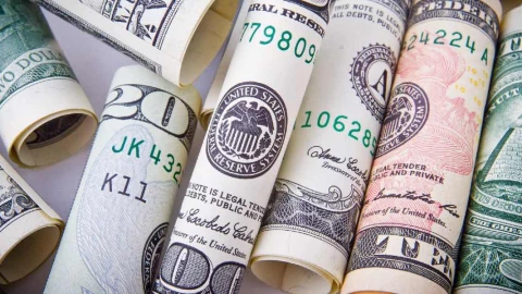 dólares estadounidenses