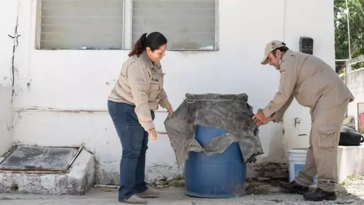 Recomendaciones que hace SESA para prevenir el dengue en Quintana Roo.jpg