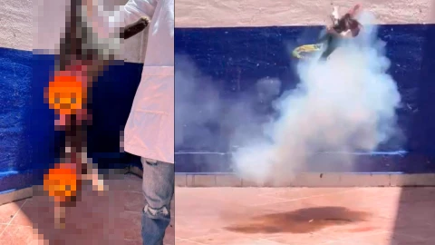 Estudiantes de Criminología en Guanajuato hacen explotar a un gato