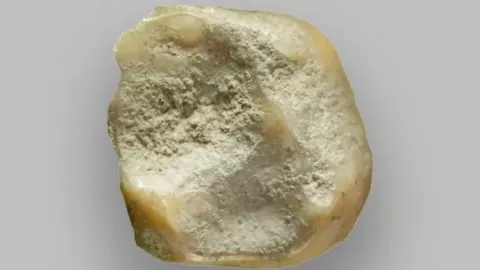 Homo sapiens Francia restos 2.jpg