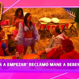 Bebeshita celosa.jpg