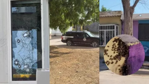 Noticias de Sinaloa hoy jueves 31 de julio de 2025