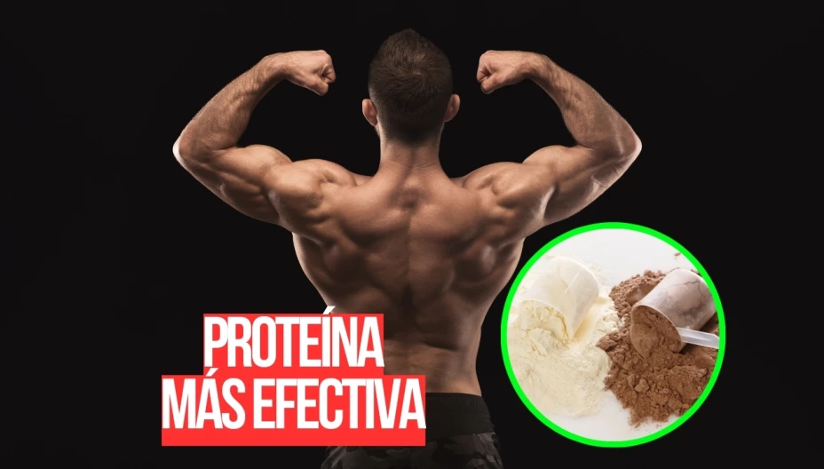 Cuál es la proteína más efectiva para aumentar músculo en México, según la IA