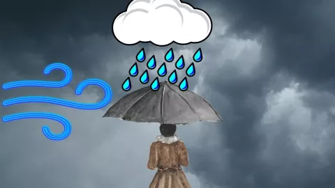 Frentes Fríos en Veracruz