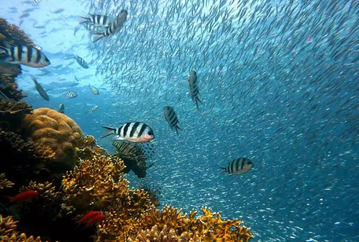 océanos Ebrard cumbre