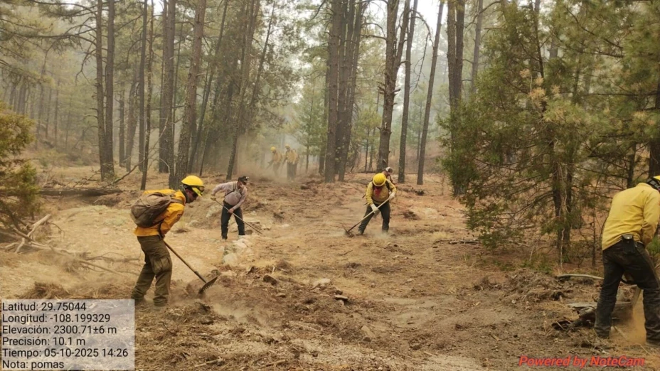 incendio Chihuahua conafor.jpg