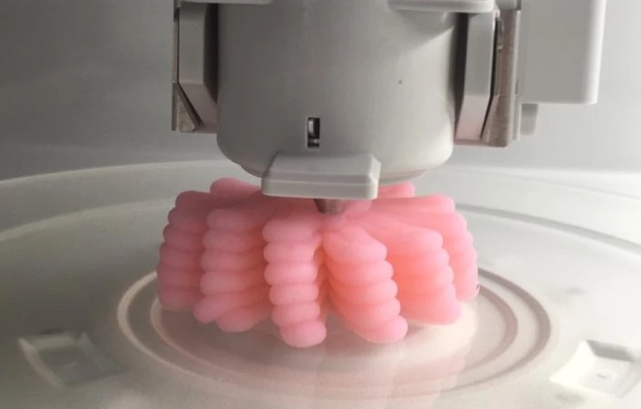 Impresión alimentos 3D 2.jpeg
