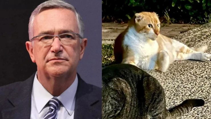 Ricardo Salinas Pliego se despide de su gatito