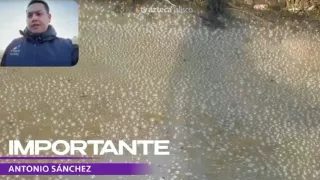 ¡Apesta! Reportan foco de infección en Las Torres y Parres Arias, en Zapopan