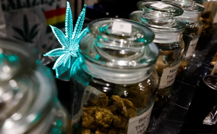 Otorgan primeras licencias para vender marihuana en Nueva York