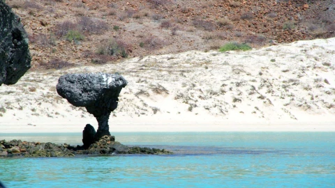 horario para visitar Playa Balandra