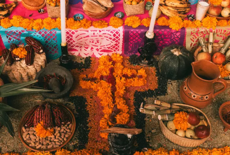 día de muertos-flores.png