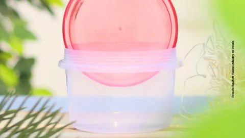 ¿Qué tupper eres, según tu fecha de nacimiento? ¡Descúbrelo!
