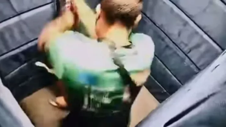 Paseador agrede brutalmente a perrito anciano.jpg