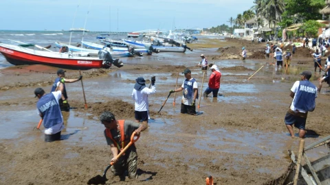 Retiran más de 8 mil toneladas de sargazo en Playa del Carmen