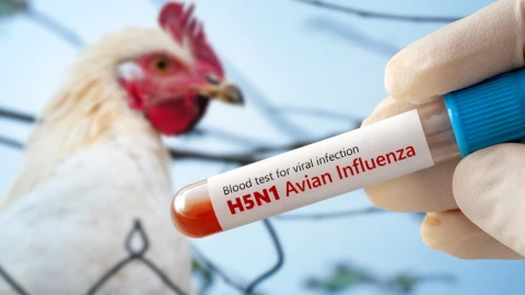 Niña de 3 años diagnosticada con influenza aviar muere en Torreón.jpeg