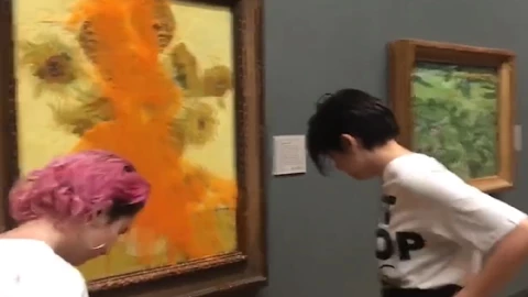 activistas le lanza sopa a cuadro