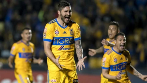 Tigres vs Pachuca