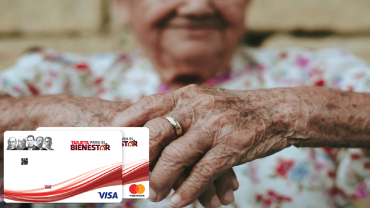 Programa del bienestar