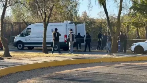 Hallan cuerpo de un hombre en áreas verdes de CU: ¿Era estudiante de la UNAM?
