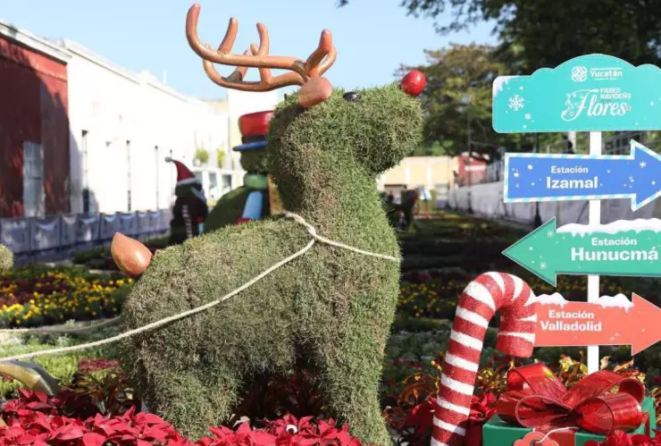 Inicia la exhibición Paseo Navideño de las Flores en Mérida