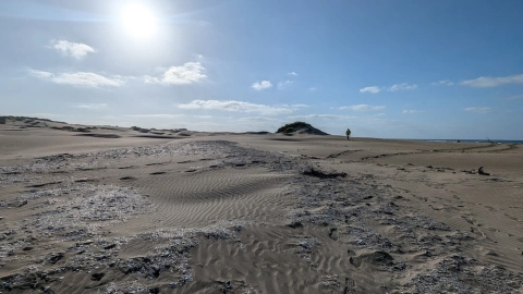 Encuentran sitio de concheros en la Isla Macapule que revela la Tijuana de la prehistoria