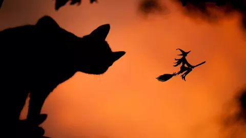 las bolas de fuego en el cielo son brujas