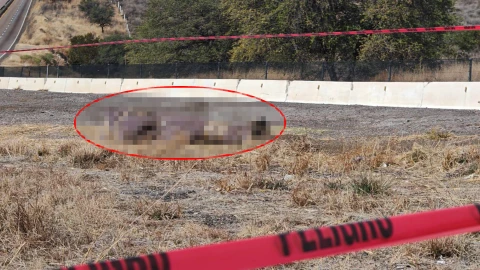 hallazgo Santa Isabel.jpg