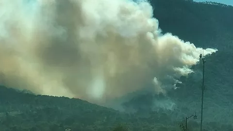 Incendio forestal arrasa un cerro en Libres, Puebla hoy 14 de abril de 2025