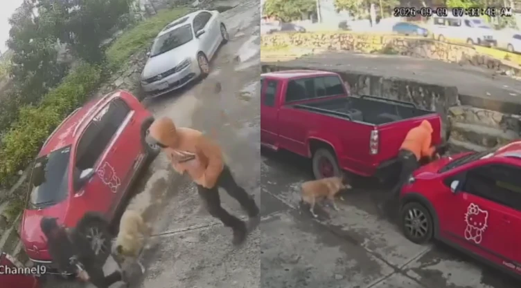 hombre-apunala-a-una-mujer-mientras-paseaba-a-su-perro-en-naucalpan-estado-mexico